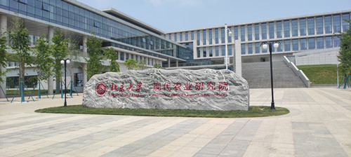 놀이터 토토 사이트
