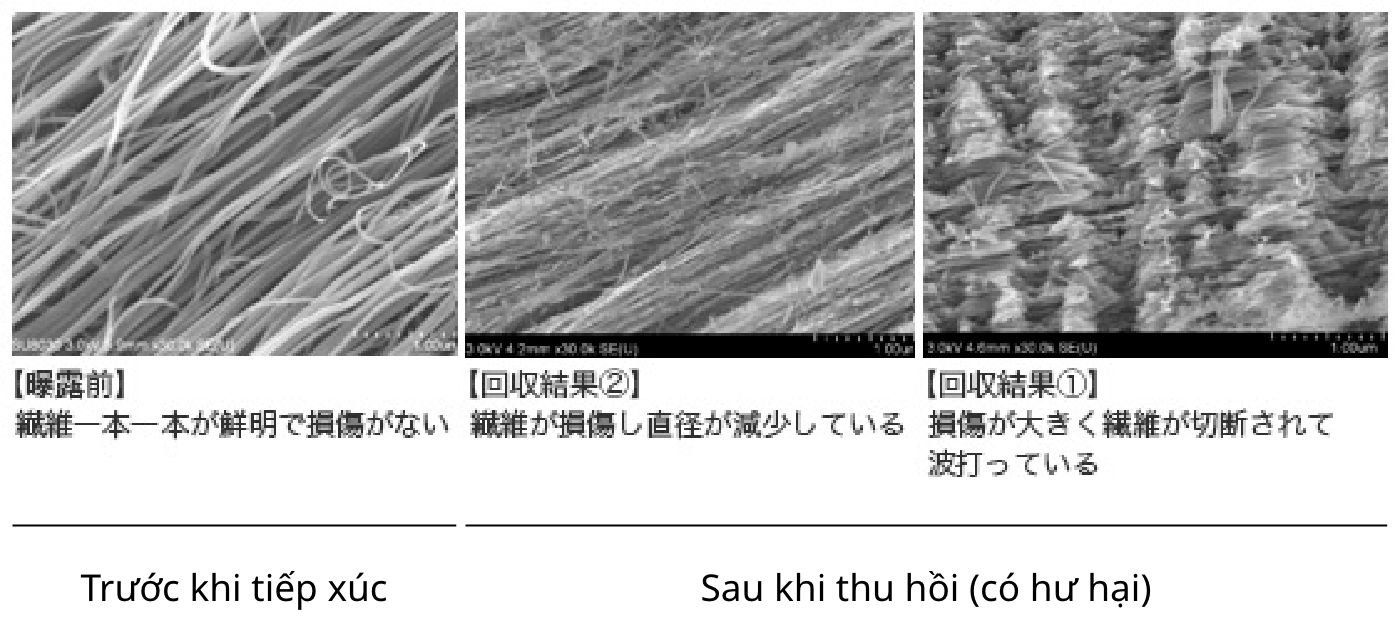 Hình ảnh vết hư hại 公務員 オンライン カジノên ống nano carbon