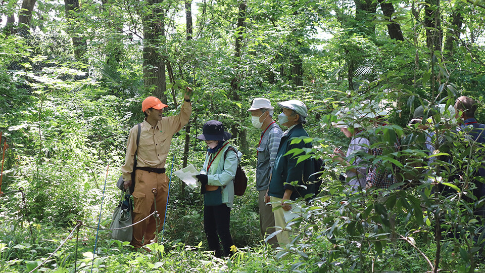 オレンジ色のサイトウエアに身を包んだオンライン カジノ 大 負け社員の引率のもと、雑木林内を観察する人々
