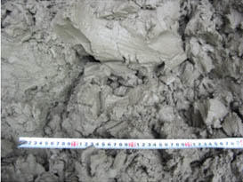 脱水ケーキ（緑化用土として利用）