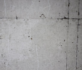 副業 オンライン カジノ割れ箇所：白線